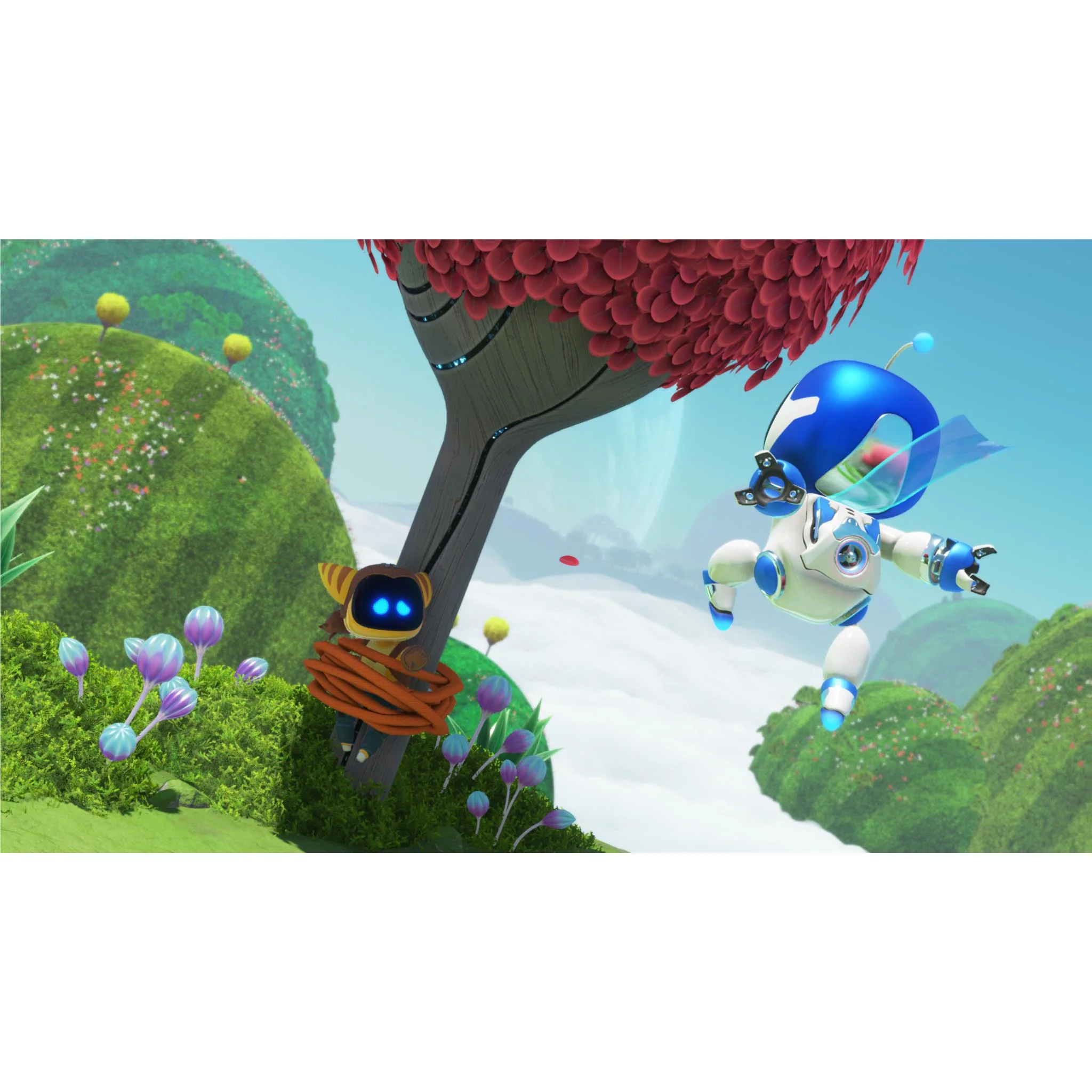 Thumbnail 13