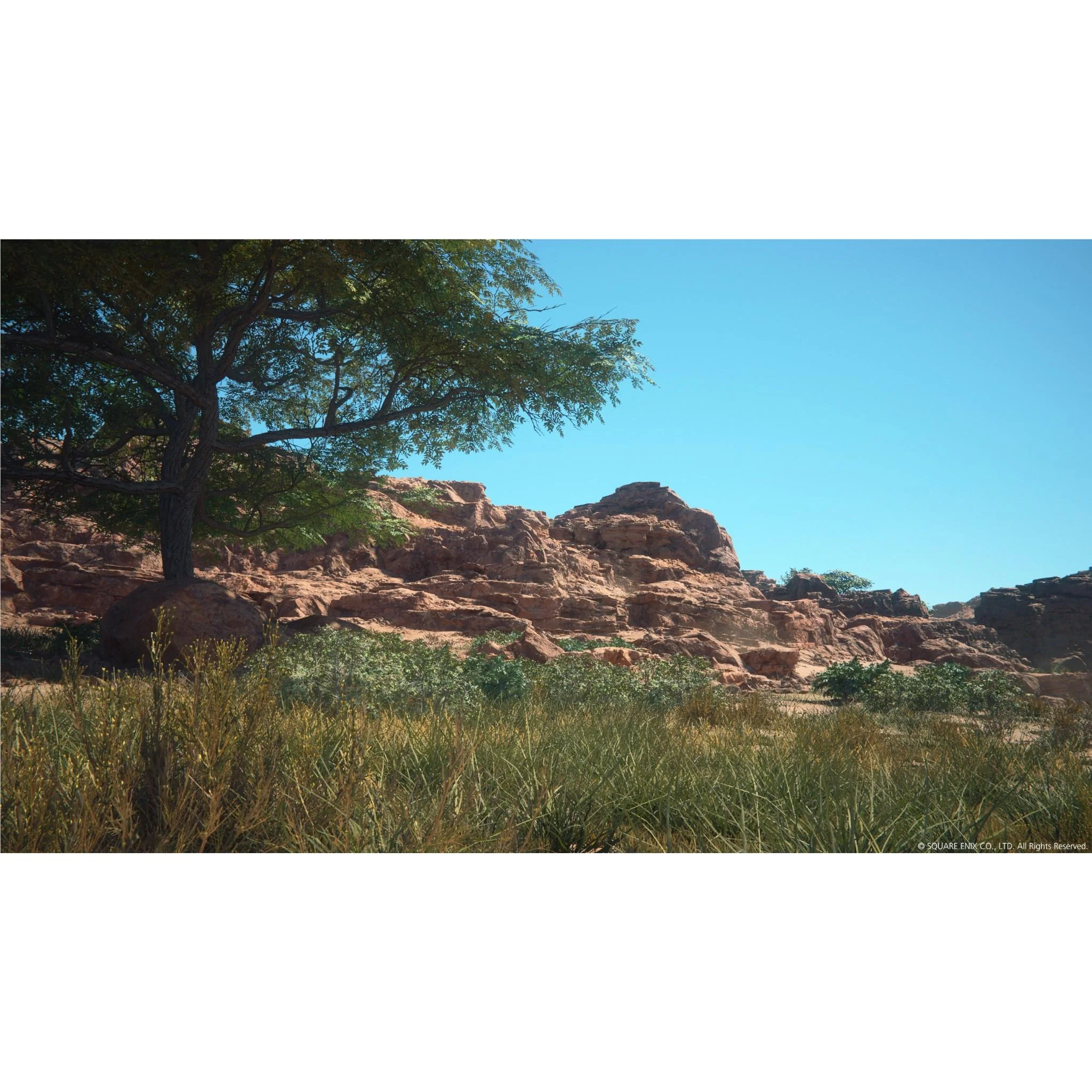 Thumbnail 14