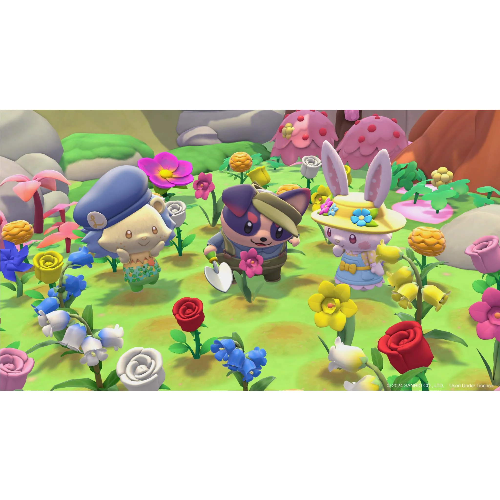 Thumbnail 6